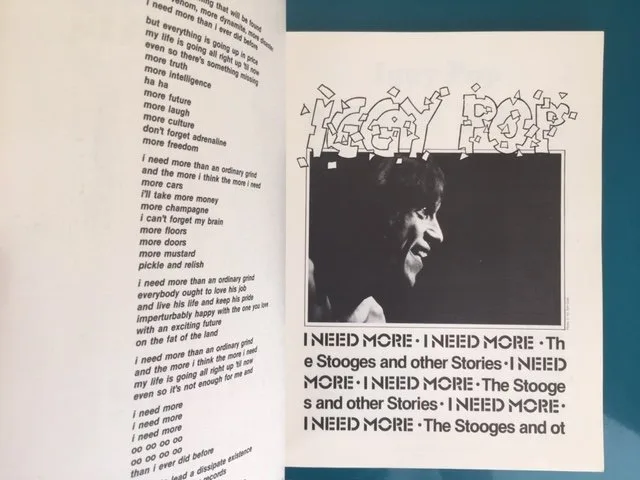 I Need More: The Stooges and Other Stories - Image 5