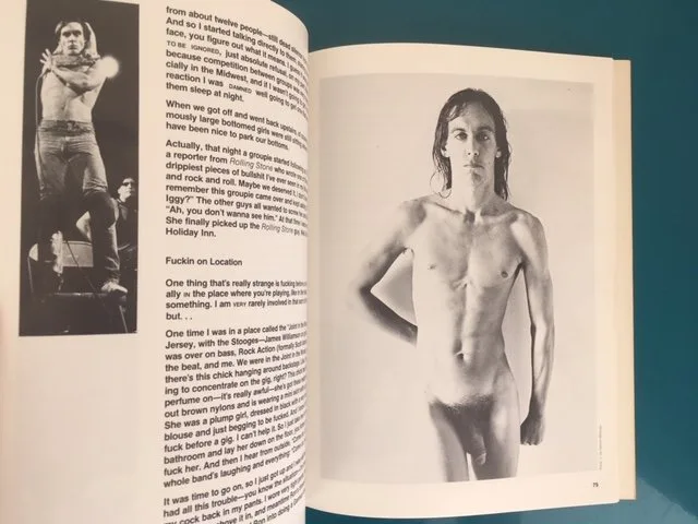 I Need More: The Stooges and Other Stories - Image 2