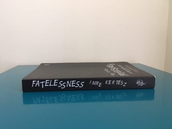 Fatelessness (PROOF COPY) - Image 3