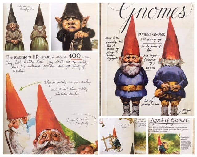 Featured book: The Life of Gnomes