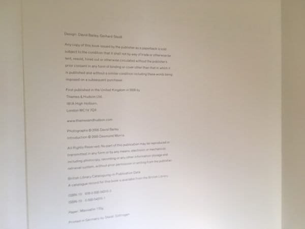 Bailey's Democracy - Image 2
