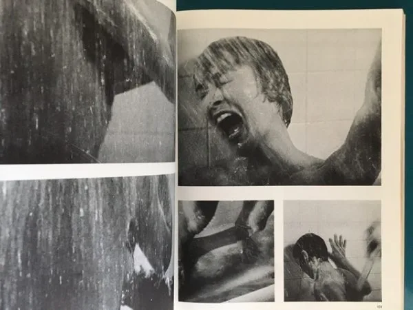Alfred Hitchcock's Psycho - Image 3