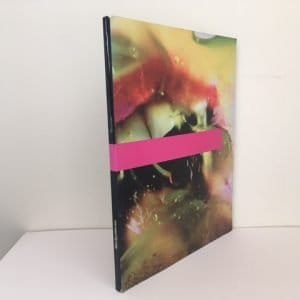 Marilyn Minter