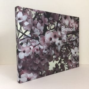 Blossom