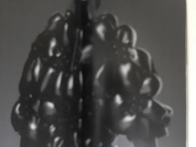 Moncler Genius - Image 3