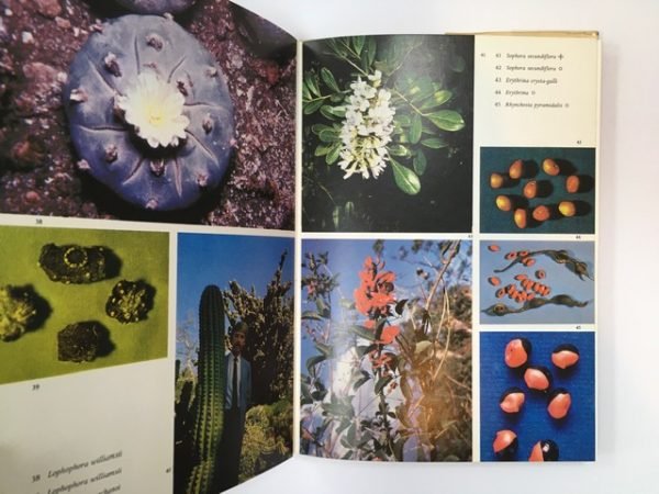 Narcotic Plants - Image 4