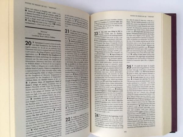 Ulysses - Image 4