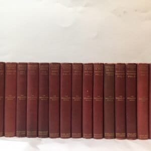 The Parliamentary Novels [17 vols- complete]
