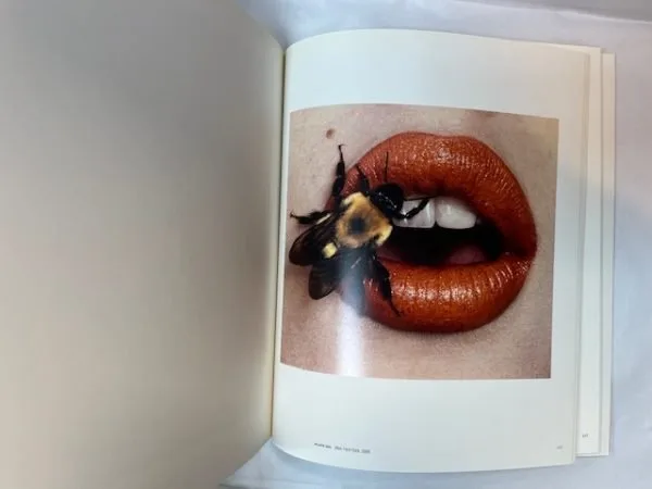 Irving Penn: Beyond Beauty - Image 2