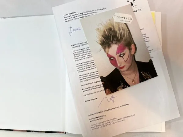 Punk's Dead - Image 2