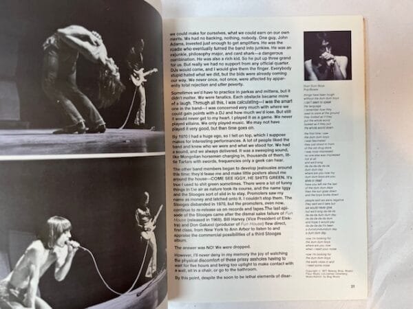 I Need More: The Stooges and Other Stories - Image 3