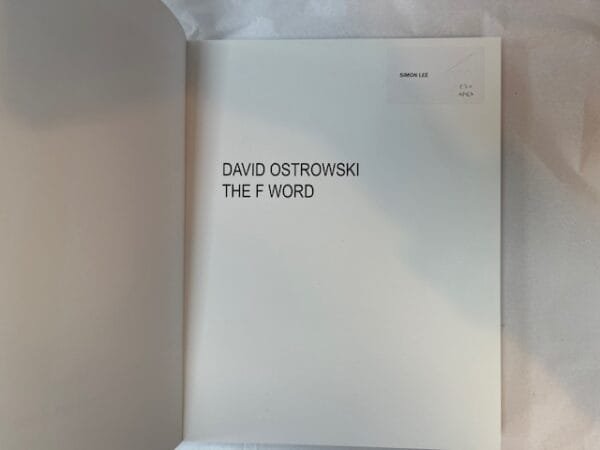 David Ostrowski: The F Word - Image 2
