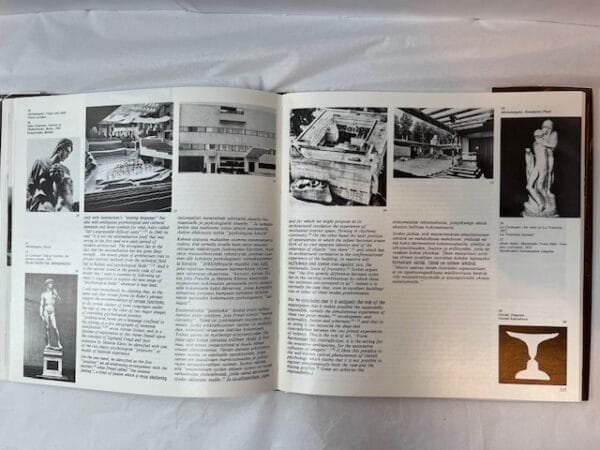Alvar Aalto vs. The Modern Movement - Image 3