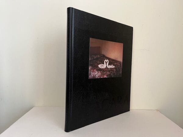 Alec Soth: Niagara