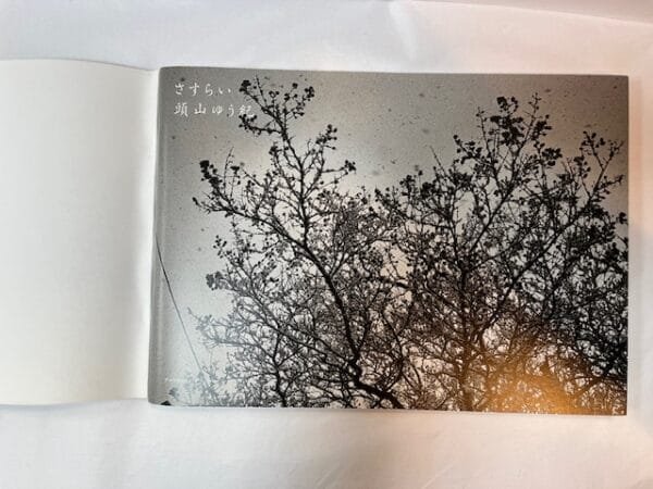 "Sasurai" - Image 2