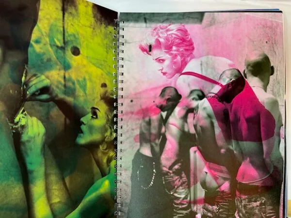 Madonna: Sex - Image 3