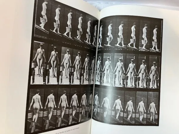 Muybridge's Complete Human and Animal Locomotion [complete in 3 vols.] - Image 2