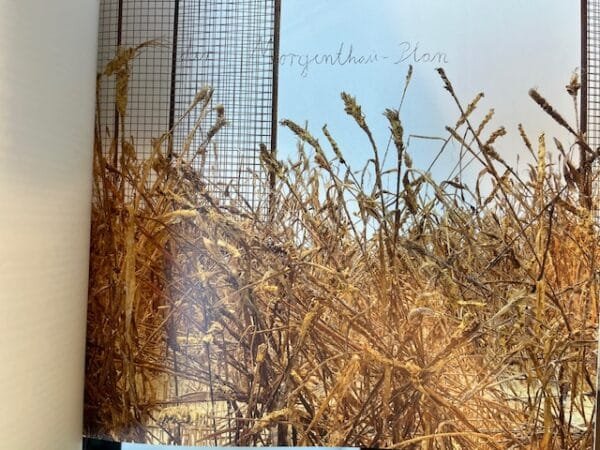 Anselm Kiefer: Morgenthau Plan - Image 3