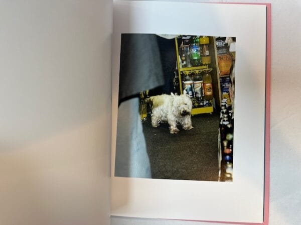 Brighton Picture Hunt - Image 2