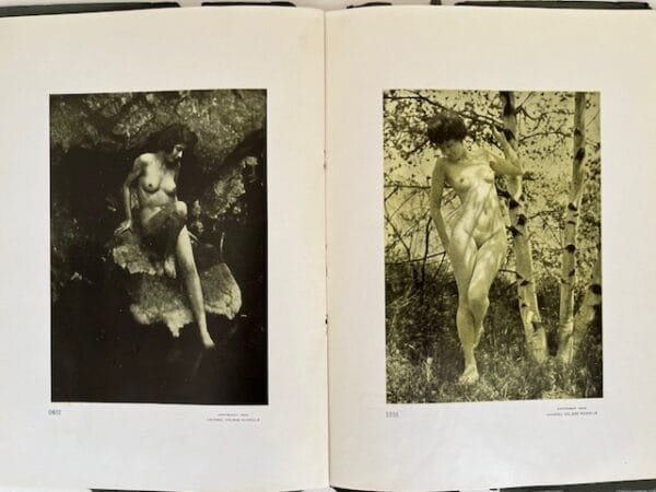Woodland Romance - Image 3