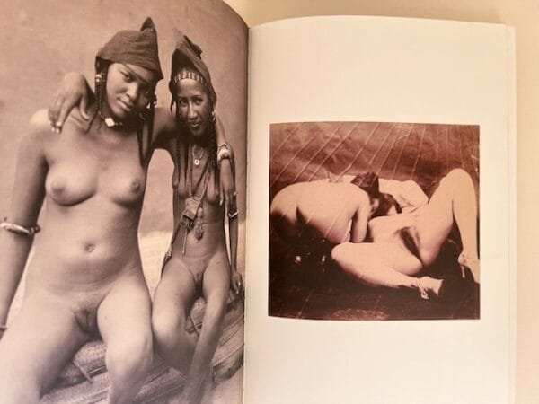 Private Collection - Image 3