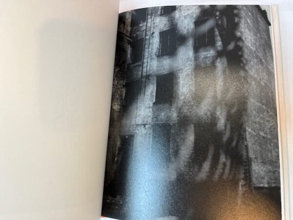 Helena Pals: Because (SIGNED) - Image 2