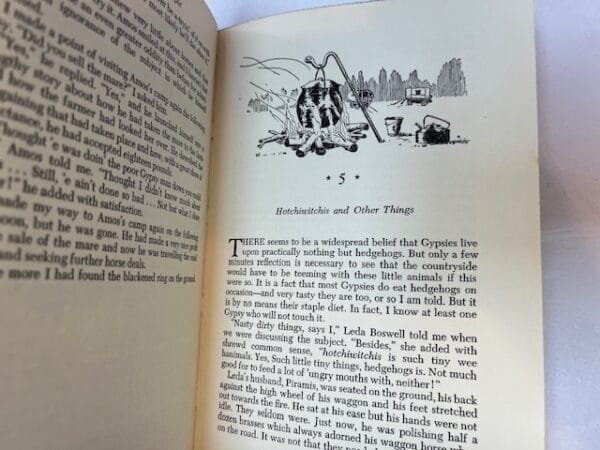 Gypsies: The Secret People - Image 3