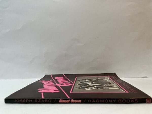 Almost Grown - Image 2