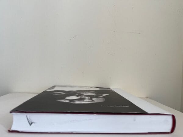 Wolfgang Tillmans - Image 3
