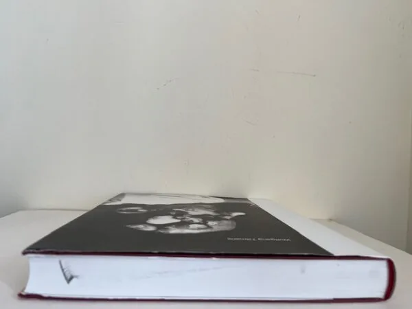 Wolfgang Tillmans - Image 3