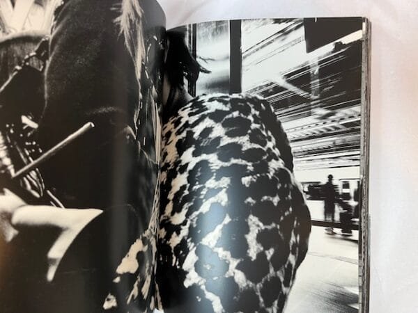 Daido Moriyama. Monochrome: Tokyo 2008-2012 - Image 2