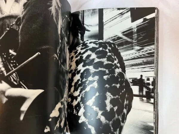 Daido Moriyama. Monochrome: Tokyo 2008-2012 - Image 2
