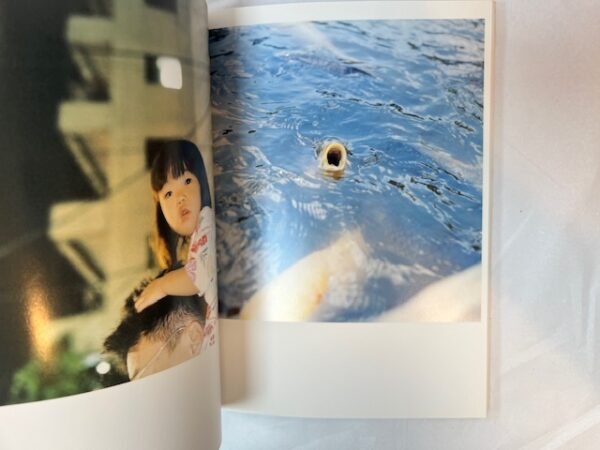 Rinko Kawauchi: Utatane - Image 3