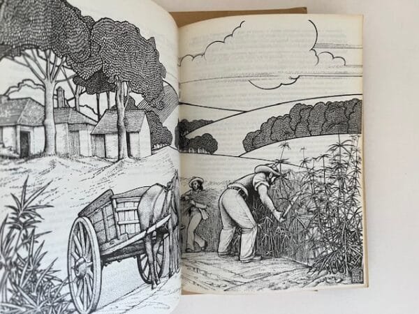 A Guide to Growing Marijuana in the British Isles and Other Cool Climates (with typescript) - Image 2