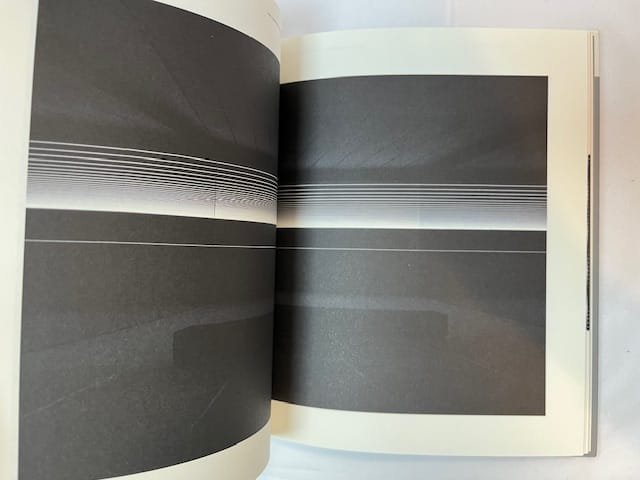 Carsten Nicolai: Unidisplay - Image 2