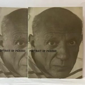 Portrait of Picasso