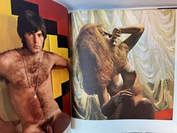 Vive le Sex - Image 3