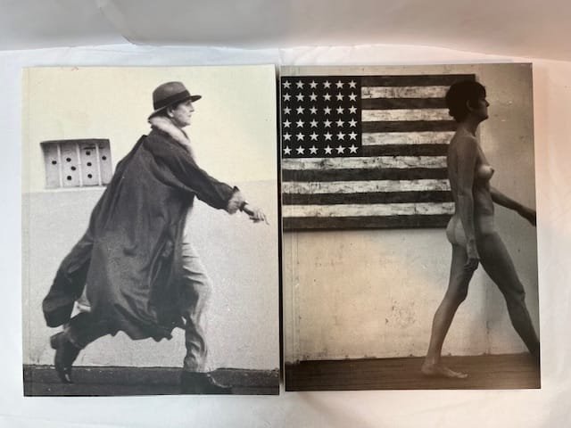 Sturtevant: The Brutal Truth/Catalogue Raisonne, 1964-2004 - 2 VOLUMES - Image 5