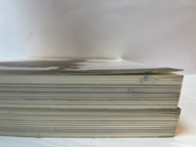 Sturtevant: The Brutal Truth/Catalogue Raisonne, 1964-2004 - 2 VOLUMES - Image 3