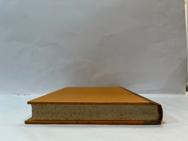 High-Rise - Image 3