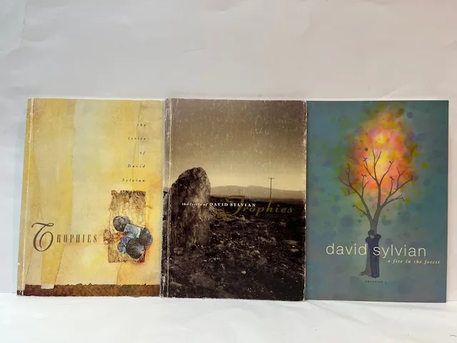 Trophies 1,2,3: The Lyrics of David Sylvian [3 vols, all published] - Image 2