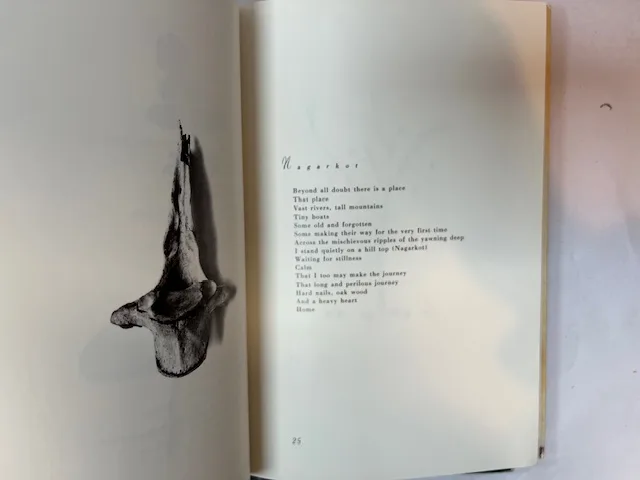 Trophies 1,2,3: The Lyrics of David Sylvian [3 vols, all published] - Image 4