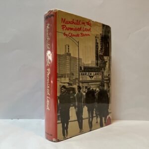 Manchild in the Promised Land