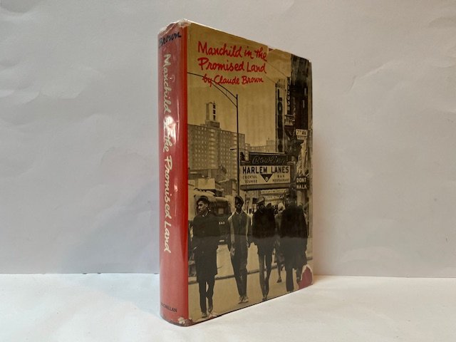 Manchild in the Promised Land