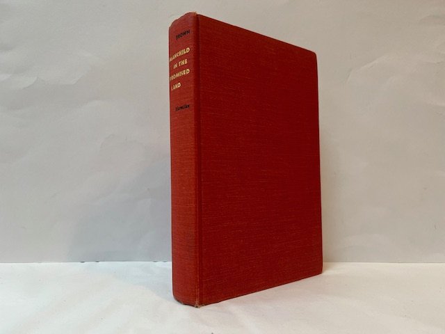 Manchild in the Promised Land - Image 2