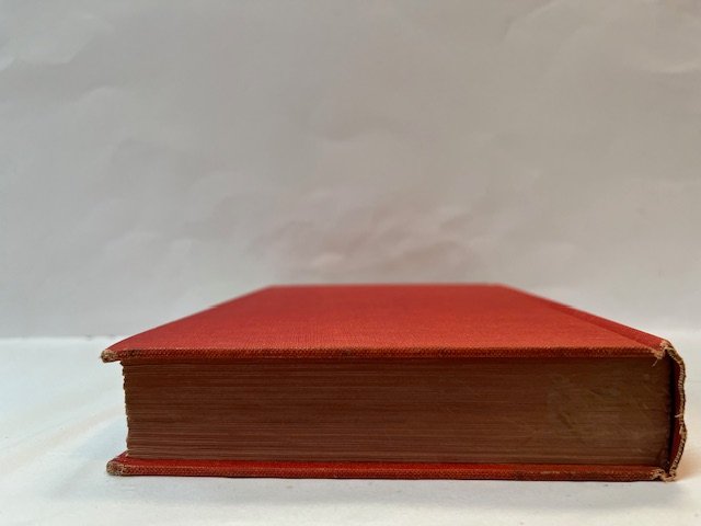 Manchild in the Promised Land - Image 3