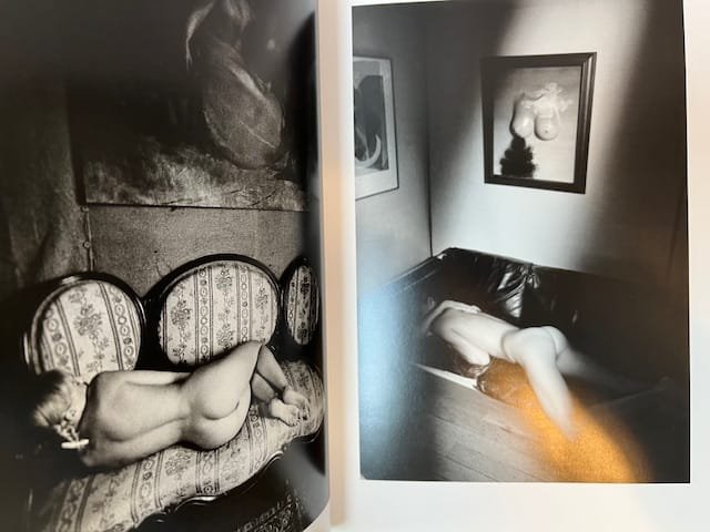 Derrières - Image 3