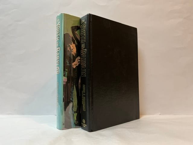A Youth in Babylon: Confessions of a Trash-Film King (SIGNED) - Image 2