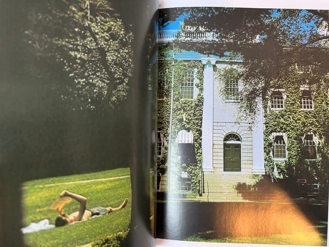 Take Ivy - Image 3