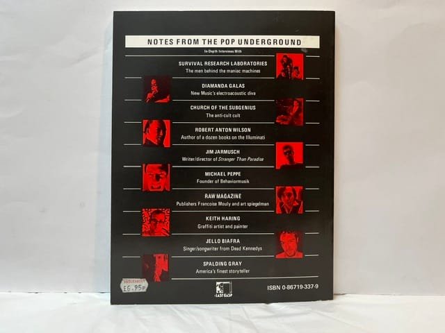 Notes from the Pop Underground - Image 2